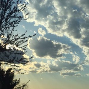 Meet your Posher, Abbey